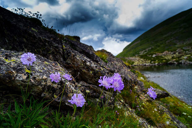 Озеро Семицветное на Кавказе Озеро Семицветное на Кавказе