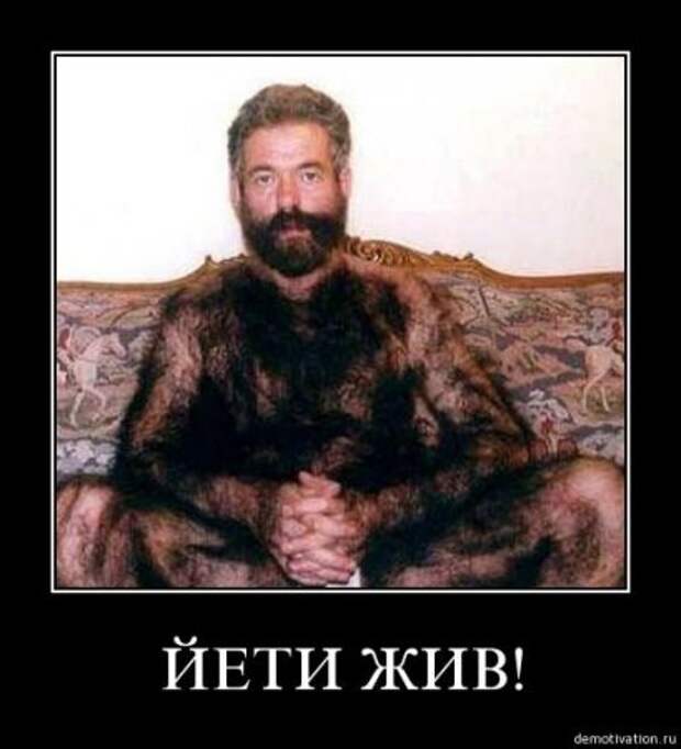 Демки, последние прикольные.