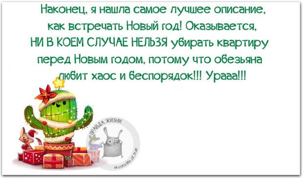 Немного новогодней «Правды жизни» (30 картинок)