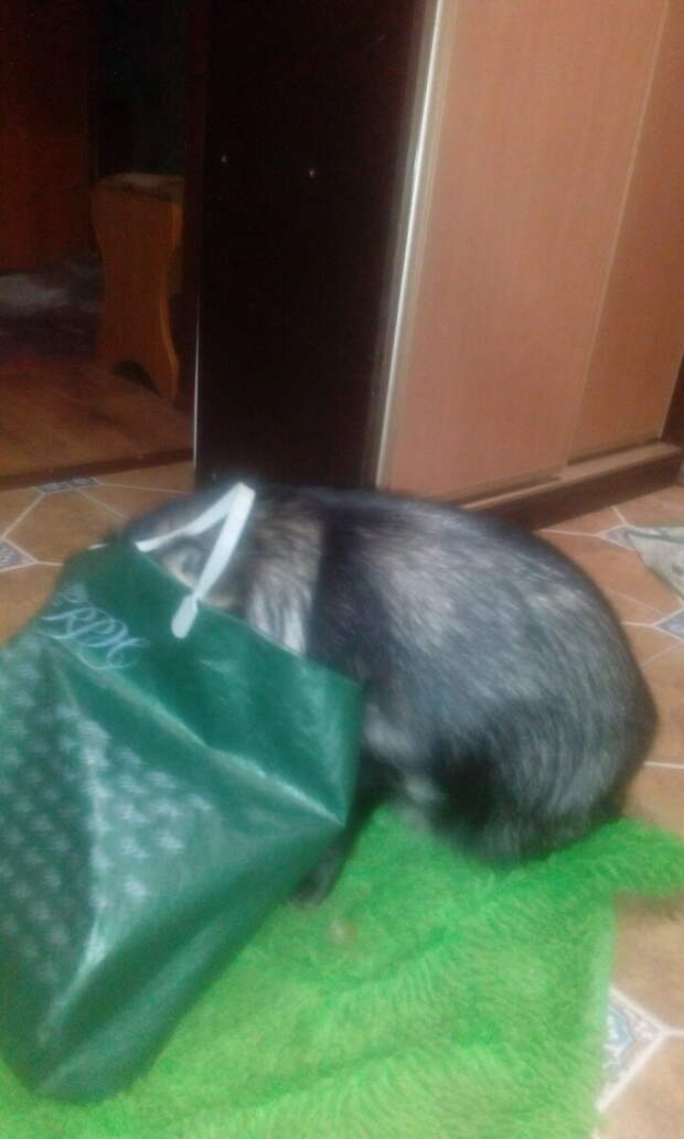 Что вкусное принесли?
