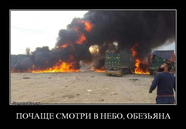 Русофобская мразь потрясена и шокирована... Русофобская мразь потрясена и шокирована...