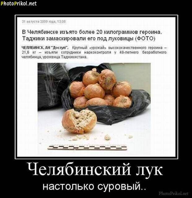 Смешные и прикольные демотиваторы Смешные и прикольные демотиваторы