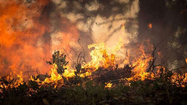 Спасатели задействовали вертолет для тушения пожаров в Сочи