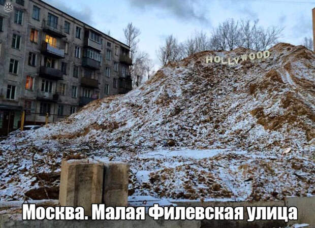 Комичные курьёзы из повседневности 24