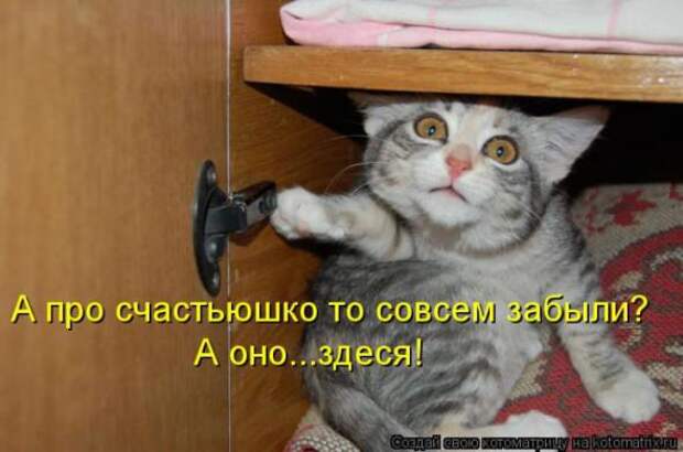 Котоматрицы(картинки с надписями)