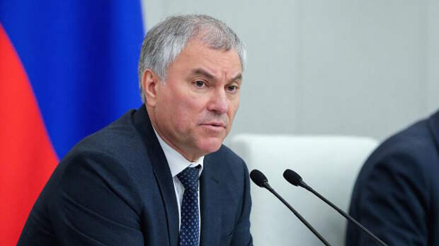 Система противодействия нелегальной миграции создана в России, заявил Володин