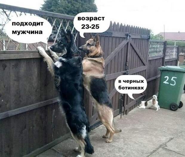 смешные фото, прикол, юмор, смешные картинки 