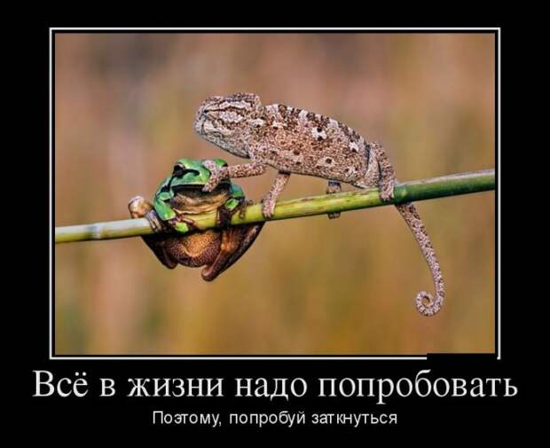 Демотиваторы Демотиваторы демотиваторы, юмор