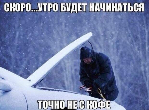Картинки, юмор, приколы