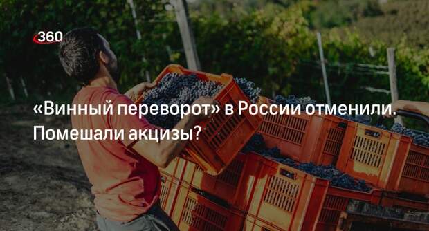 Экономист Черниговский: цены на винодельческую продуцию вырастут из-за акцизов