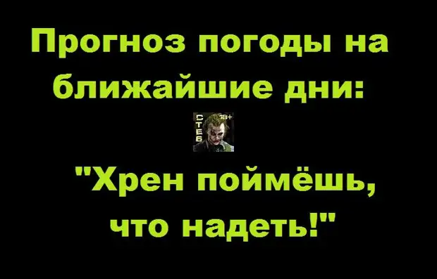 прогноз погоды на ближайшие дни хрен поймешь что надеть картинки. в этом вашем интернете не поймешь кто прикалывается. смешные афоризмы и высказывания. человек хрен поймешь. в этом вашем интернете хрен поймешь.