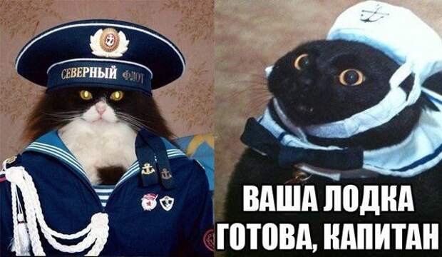 Приколюхи. Очень смешно!