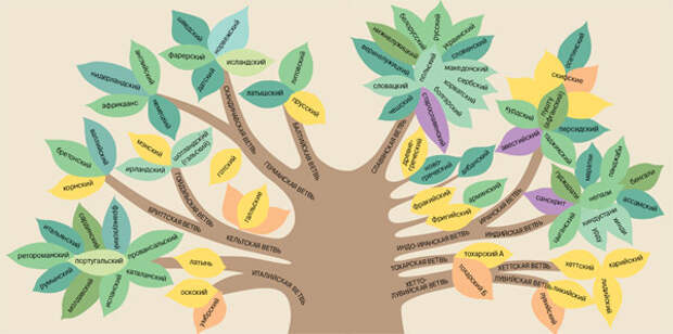 Генеалогическое древо индоевропейских языков. Изображение: «Наука и жизнь»