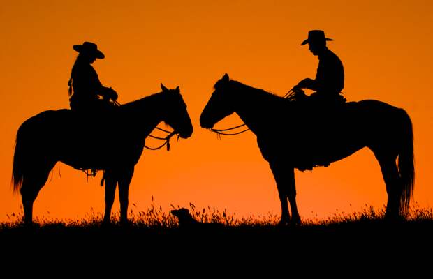 TOP 15 twitter-фотографов