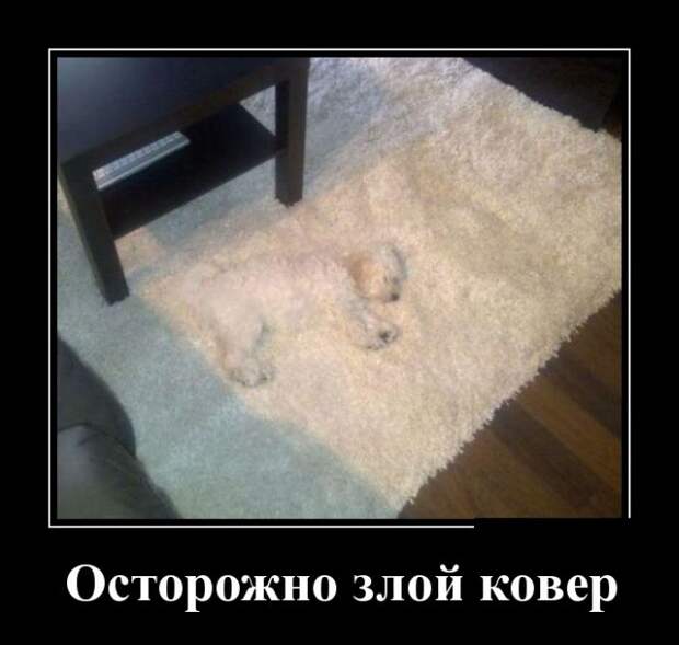 Демотиваторы (30 фото) Демотиваторы (30 фото)