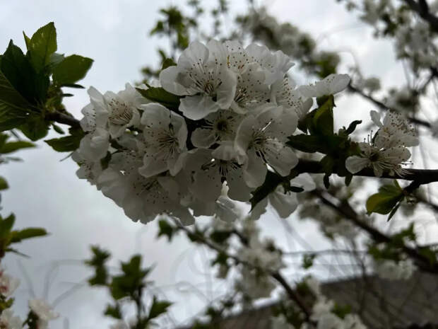 Куртку пора в шкаф? Синоптики рассказали о погоде в майские праздники
