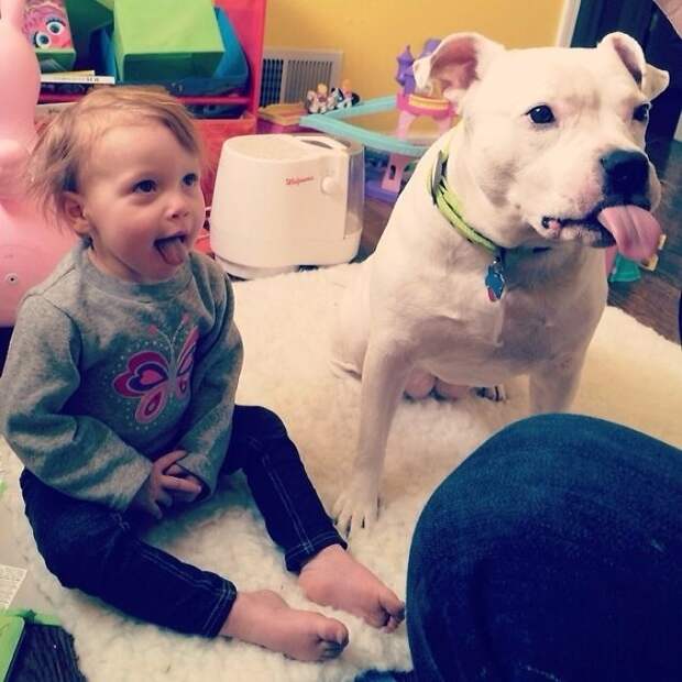 My Wife Caught My Daughter And My Pitty Both Begging For Food... Tongues Out