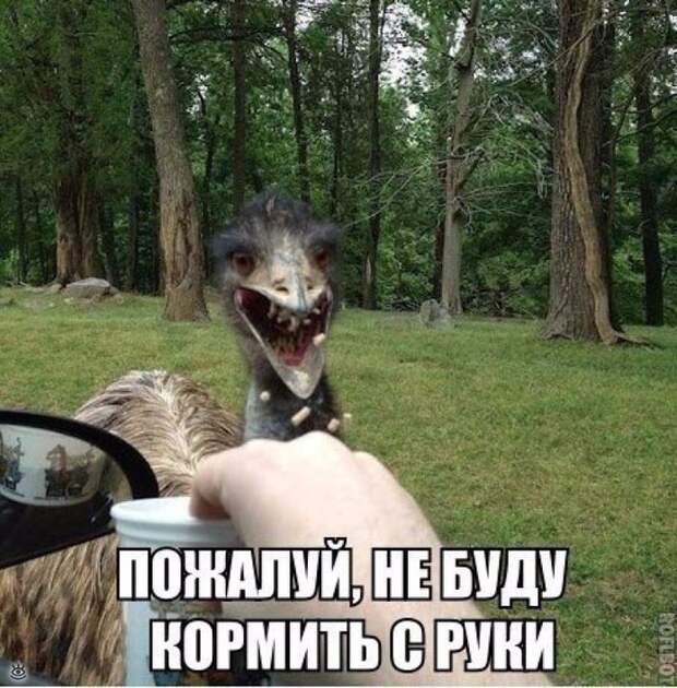 Позитив для автолюбителей 43