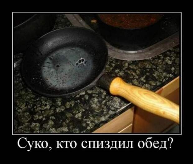 Веселые демотиваторы у нас каждый день!