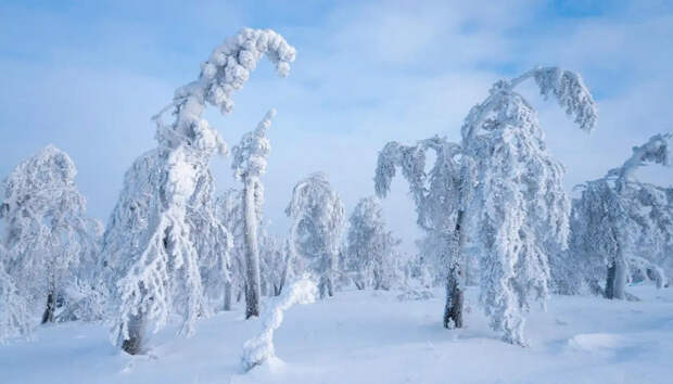 Пора утепляться! На смену снегопадам идут сильные морозы. Москве, Петербургу и другим городам выдано предупреждение