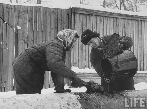 27 портретов эпохи “оттепели”
