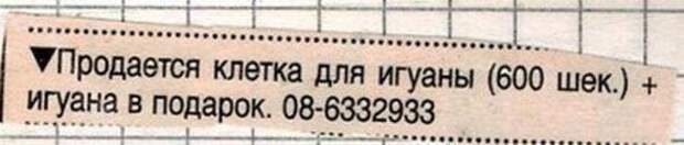 Смешные объявления в газетах Смешные объявления в газетах