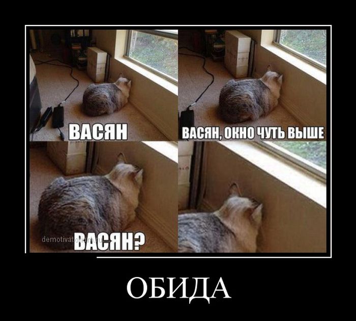Подборка  демотиваторов демотиваторы, юмор