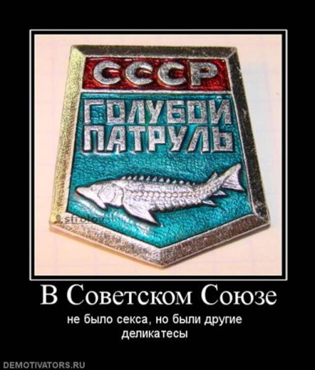 Юмор, демотиваторы, прикольные подписи, смешные фото.