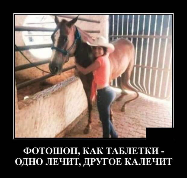 Демотиваторы (20 фото)
