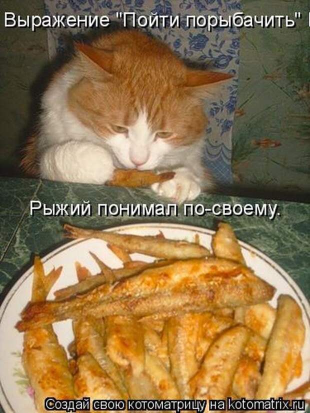 Мысли вслух :)