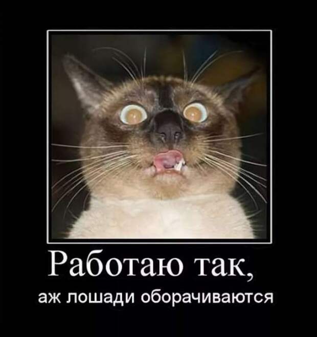 Смешные комментарии. Подборка chert-poberi-kom-chert-poberi-kom-21500317082020-3 картинка chert-poberi-kom-21500317082020-3