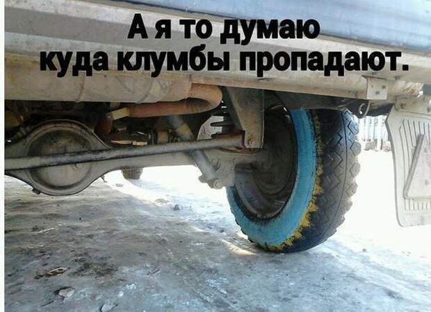 Подборка автоприколов. Часть 192 автоприколы, приколы
