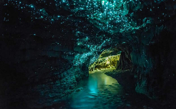 Пещеры Глоуворм,  Новая Зеландия