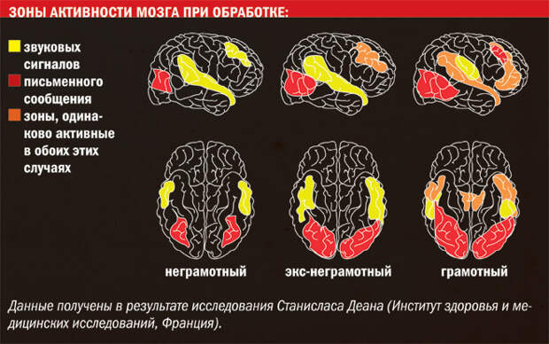 Новое про чтение, или Почему читающие люди редко становятся алкоголиками и наркоманами Новое про чтение, или Почему читающие люди редко становятся алкоголиками и наркоманами