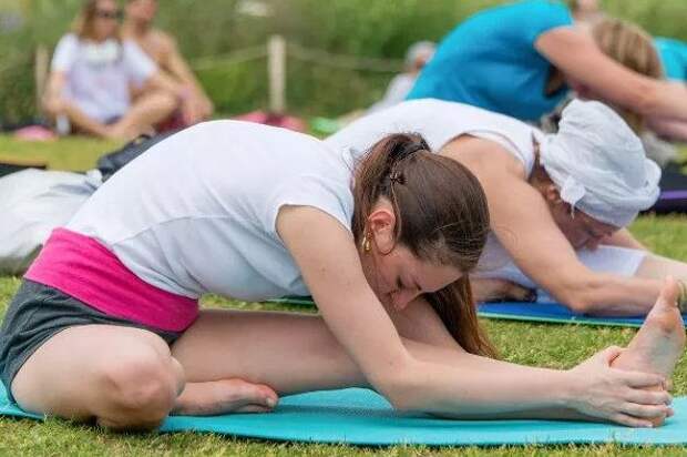 Некоммерческие организации в спорте