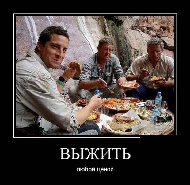 Без политики и прочей фигни, просто позитив демотиваторы, факты, юмор