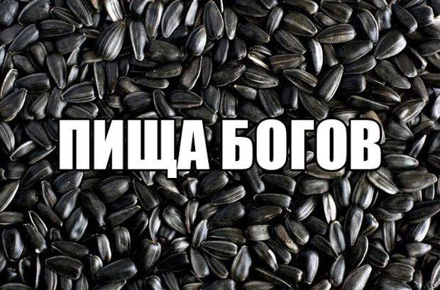 Смехопанорама. Кайф!