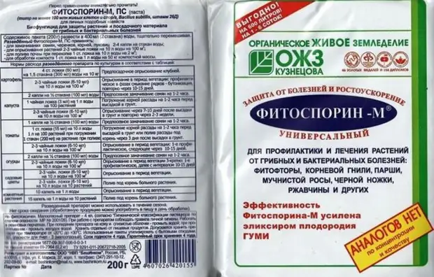 Осторожно, грибок: обзор лучших фунгицидов для лечения растений