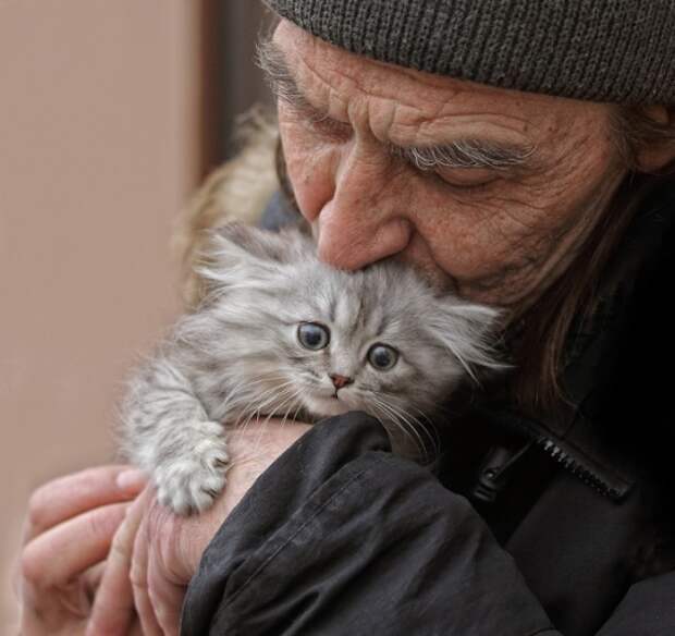 Интересные высказывания о жизни