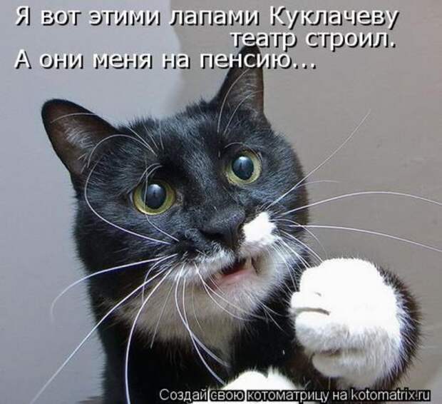 Лучшие котоматрицы недели (28 фото)