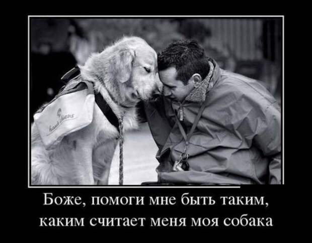 Демотиваторы (14.01.16)