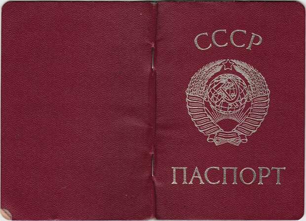 Она никогда этого не делала, пока не начала жить в России россия, привычка, американка