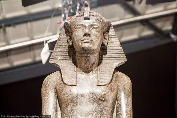 Гробница Тутанхамона выставка, гробница, фараон, царь