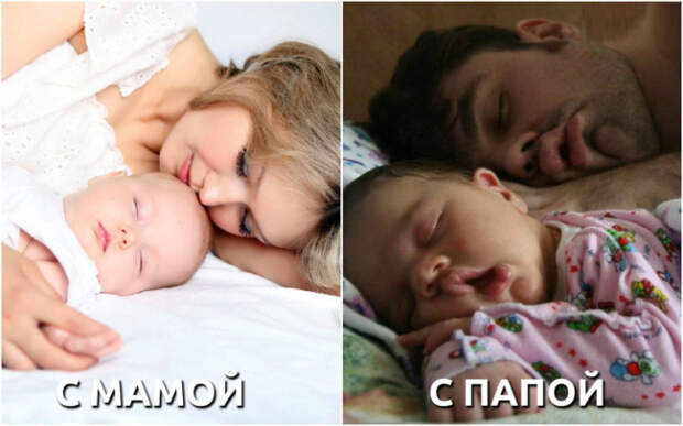 мама, папа, отличия