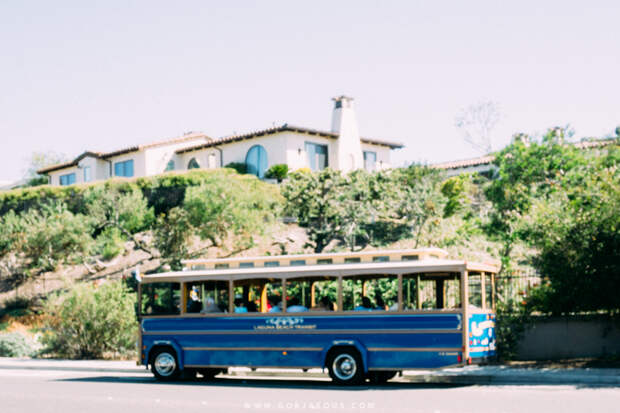 Exploring Laguna Beach-4.jpg