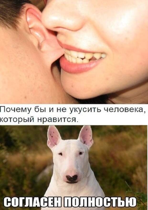 Прикольные картинки (67 шт)