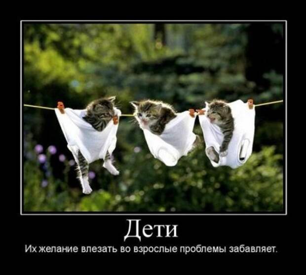 Смешных демотиваторов много не бывает.