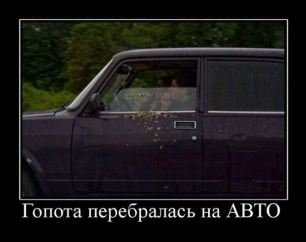 Смешные новые демотиваторы.