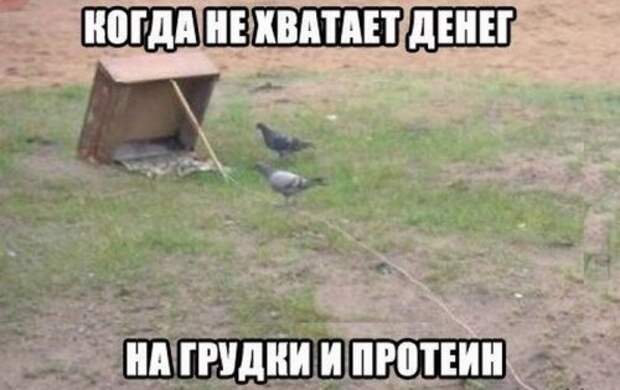 Прикольная подборка картинок и фоток (29 шт)