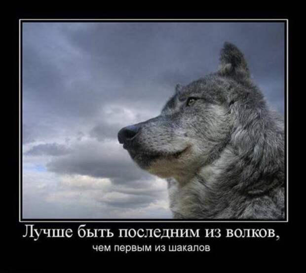 Картинки для улыбок. Улыбайтесь!